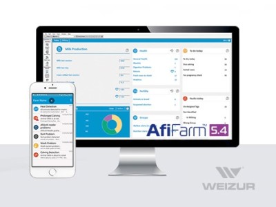 Monitoramento de Rebanho