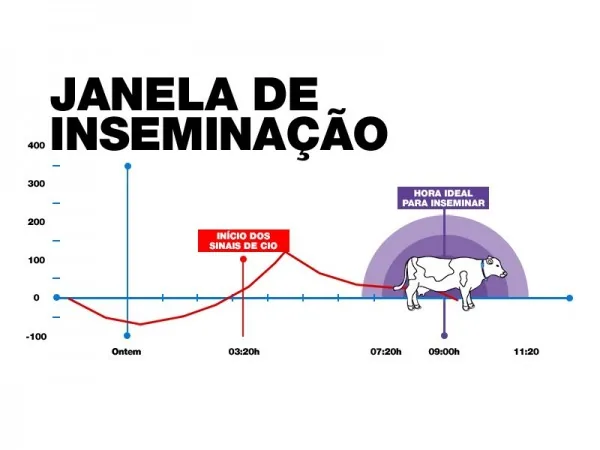 Janela da Fertilidade Weizur AfiCollar