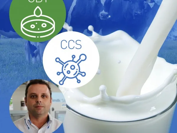 CBT-CCS - Qualidade no Leite