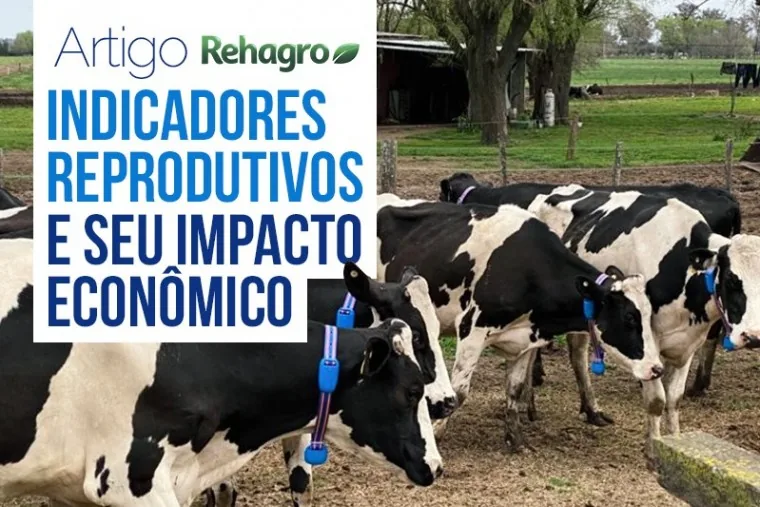 Indicadores Reprodutivos e seu Impacto Econômico
