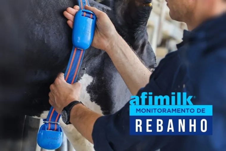 Qual o período ideal para Monitorar as Vacas?