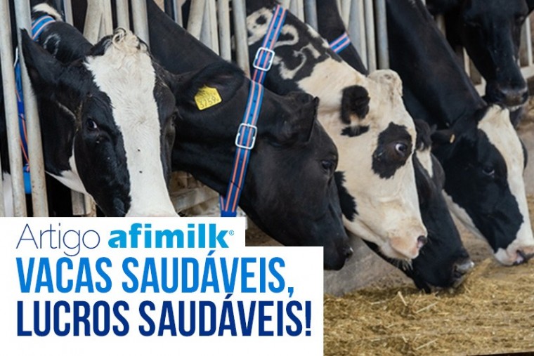 Vacas Saudáveis, Lucros Saudáveis!