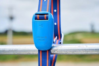 Pecuária de Precisão em Fazendas: Como a Tecnologia Afimilk Beneficia o Manejo de Rebanhos Leiteiros