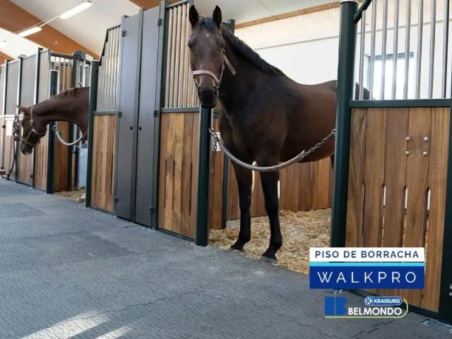 Piso de Borracha para Equinos Belmondo Walkpro Weizur