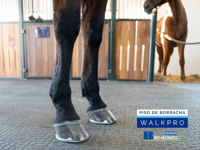 Piso de Borracha para Equinos Belmondo Walkpro Weizur