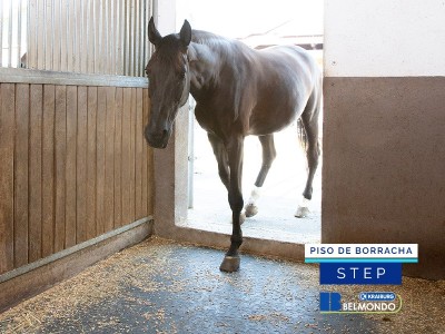 Piso de Borracha para Equinos Belmondo Basic 1