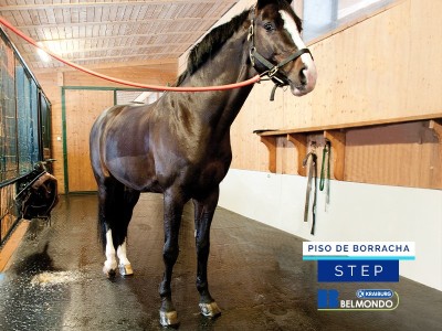 Piso de Borracha para Equinos Belmondo Basic 2