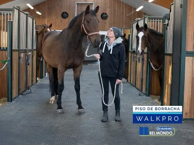Piso de Borracha para Equinos Belmondo Walkpro Weizur